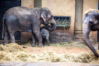 Mit freundlicher Genehmigung des Tierparks Hagenbeck